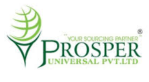 PROSPER UNIVERSAL PVT LTD
